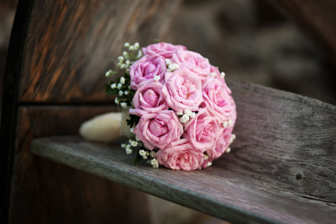 求婚用什么花好 不同颜色的玫瑰花寓意