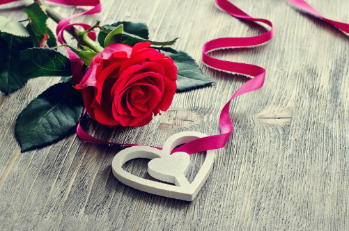 求婚用什么花好 不同颜色的玫瑰花寓意
